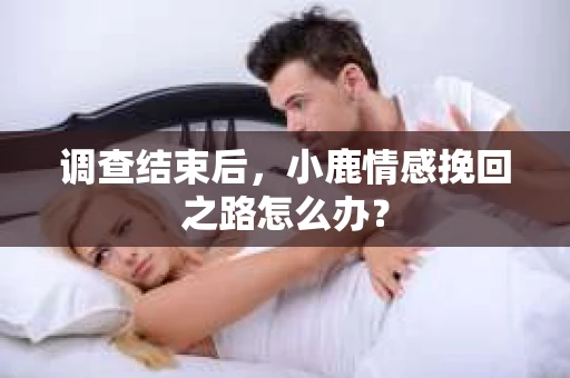 调查结束后，小鹿情感挽回之路怎么办？