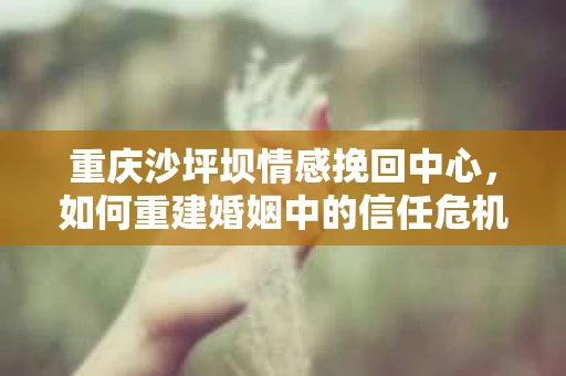 重庆沙坪坝情感挽回中心，如何重建婚姻中的信任危机？