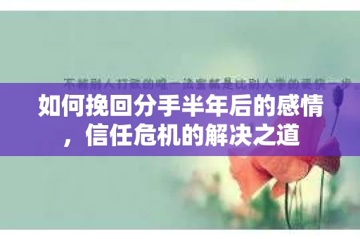 如何挽回分手半年后的感情，信任危机的解决之道