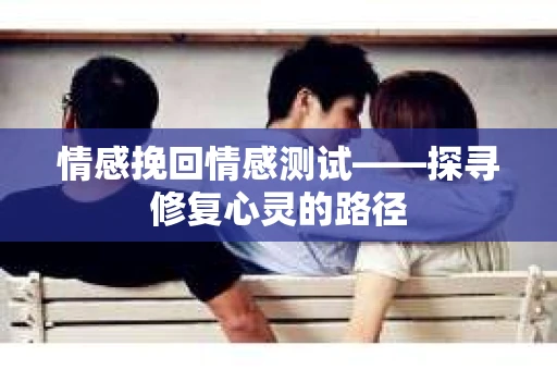 情感挽回情感测试——探寻修复心灵的路径
