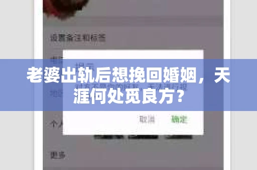老婆出轨后想挽回婚姻，天涯何处觅良方？