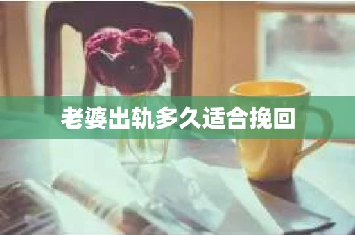 老婆出轨多久适合挽回