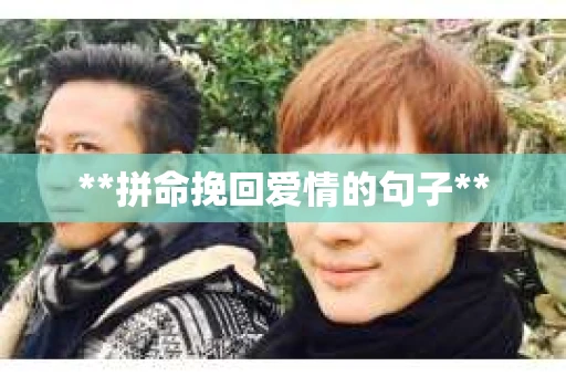 **拼命挽回爱情的句子**