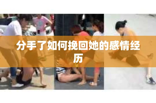 分手了如何挽回她的感情经历