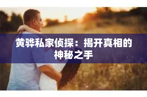黄骅私家侦探：揭开真相的神秘之手