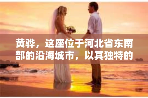 黄骅，这座位于河北省东南部的沿海城市，以其独特的地理位置和丰富的历史文化而闻名。然而，在这座城市中，还有一群人，他们以另一种方式默默守护着社会的公平与正义——私家侦探。今天，我们就来聊聊黄骅的私家侦探，看看他们是如何在这个城市中发挥作用的。