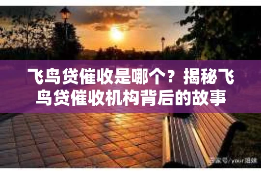 飞鸟贷催收是哪个？揭秘飞鸟贷催收机构背后的故事