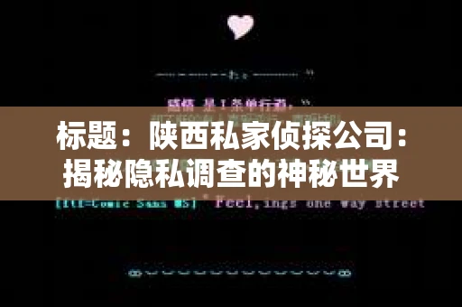 标题：陕西私家侦探公司：揭秘隐私调查的神秘世界