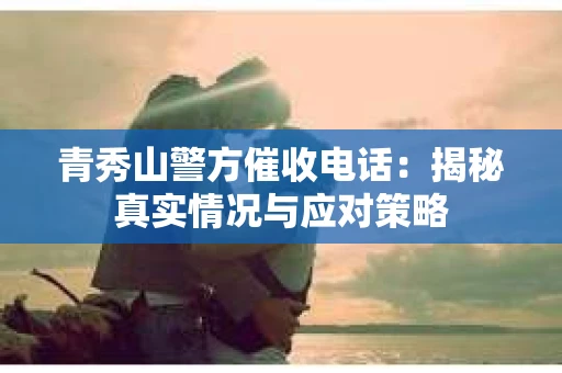 青秀山警方催收电话：揭秘真实情况与应对策略
