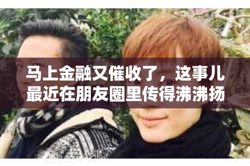 马上金融又催收了，这事儿最近在朋友圈里传得沸沸扬扬。说实话，我也有点好奇，这马上金融到底是怎么回事？催收又是怎么一回事？今天，我就来跟大家聊聊这个话题。