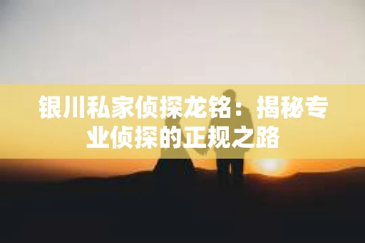 银川私家侦探龙铭：揭秘专业侦探的正规之路