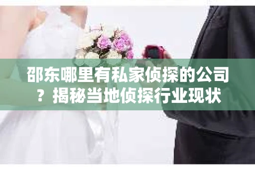 邵东哪里有私家侦探的公司？揭秘当地侦探行业现状