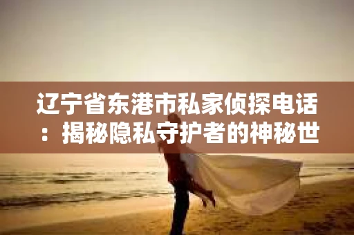 辽宁省东港市私家侦探电话：揭秘隐私守护者的神秘世界