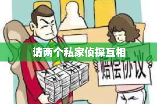 请两个私家侦探互相