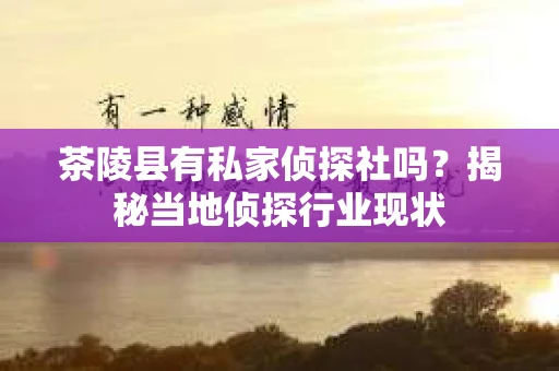 茶陵县有私家侦探社吗？揭秘当地侦探行业现状