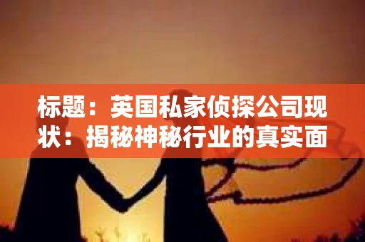 标题：英国私家侦探公司现状：揭秘神秘行业的真实面貌