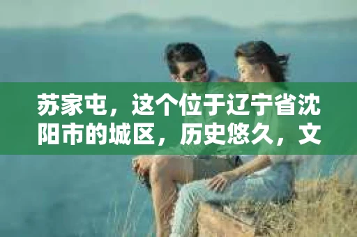 苏家屯，这个位于辽宁省沈阳市的城区，历史悠久，文化底蕴深厚。近年来，随着社会的发展，人们对于私家侦探的需求也逐渐增加。那么，苏家屯有私家侦探吗？今天，我们就来聊聊这个话题。