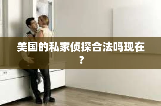 美国的私家侦探合法吗现在？