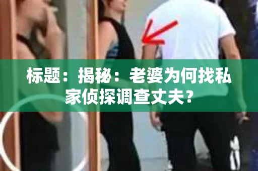 标题：揭秘：老婆为何找私家侦探调查丈夫？