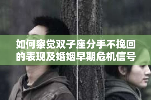 如何察觉双子座分手不挽回的表现及婚姻早期危机信号？