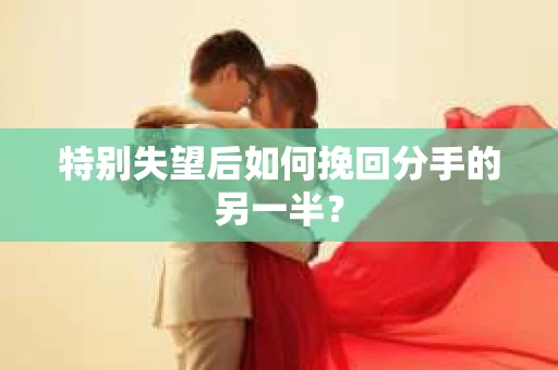 特别失望后如何挽回分手的另一半？