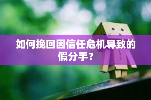 如何挽回因信任危机导致的假分手? 如何挽回因信任危机导致的假分手?