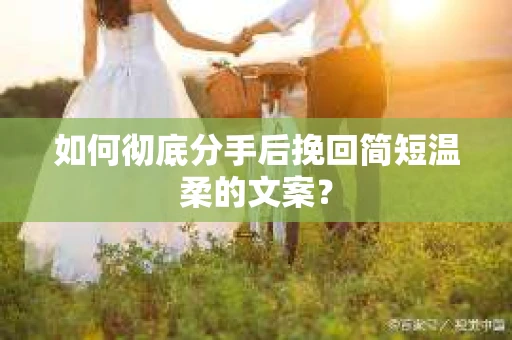 如何彻底分手后挽回简短温柔的文案？