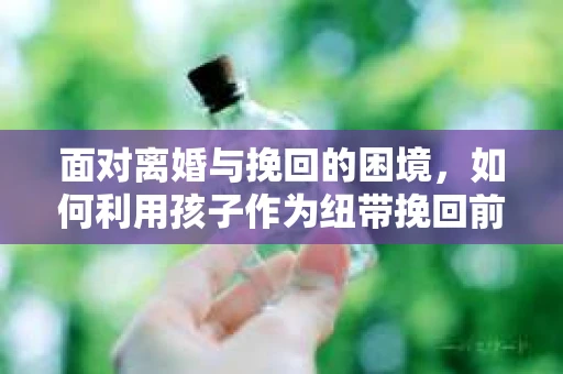 面对离婚与挽回的困境，如何利用孩子作为纽带挽回前夫的技巧？