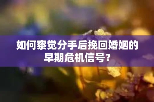 如何察觉分手后挽回婚姻的早期危机信号？