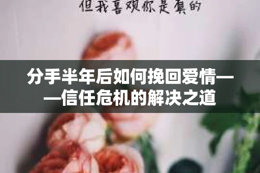 分手半年后如何挽回爱情——信任危机的解决之道